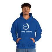 Blue & White FC Porto Hoodie