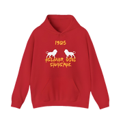 Galatasaray Hoodie